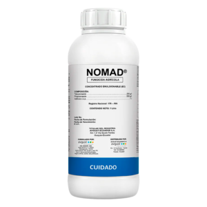Nomad