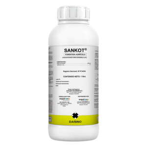 Sankot