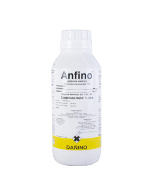 ANFINO