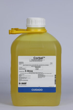 Corbel®