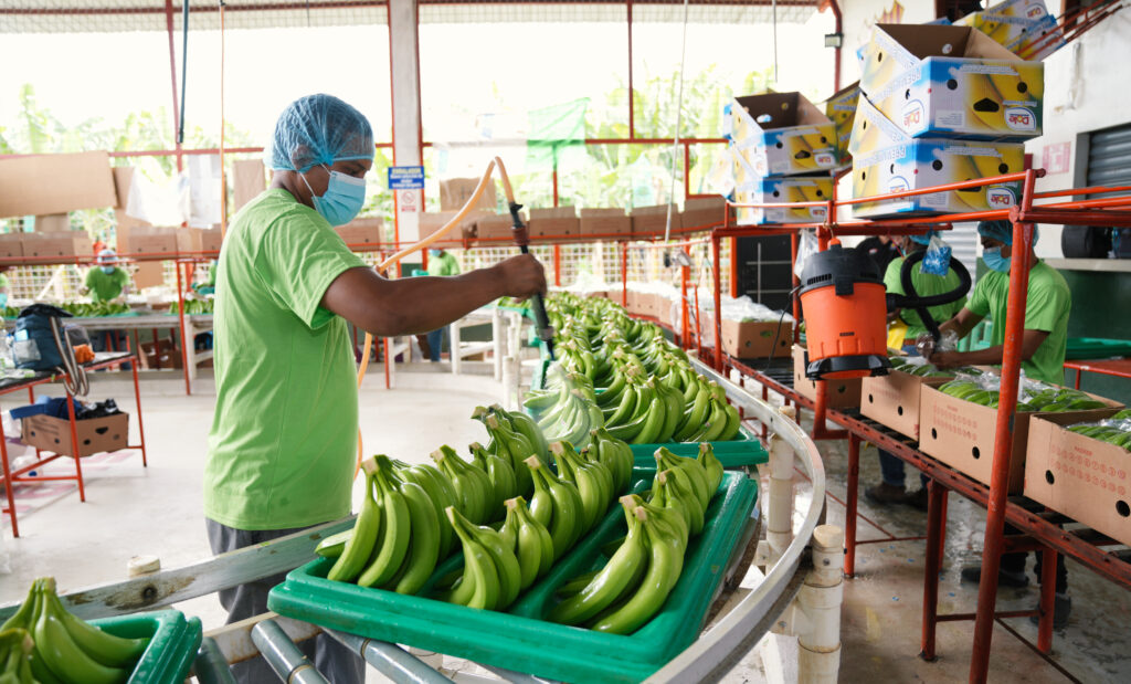Galería del servicio