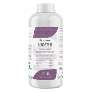 Luder B