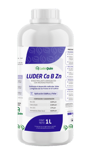 LUDER CA B ZN
