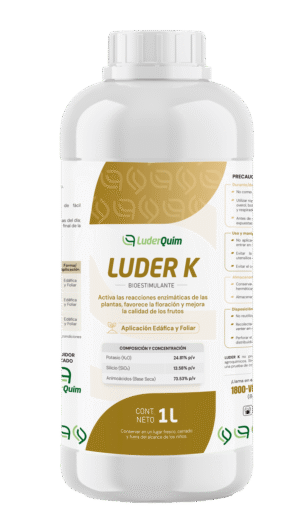 LUDER K