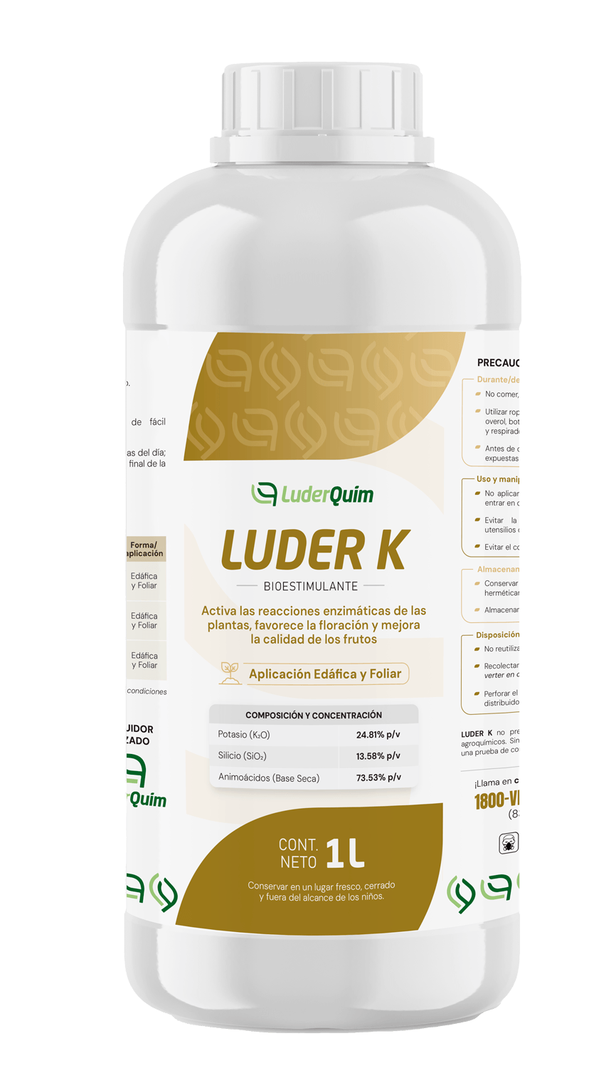 LUDER K