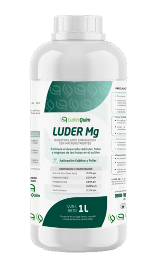 LUDER MG