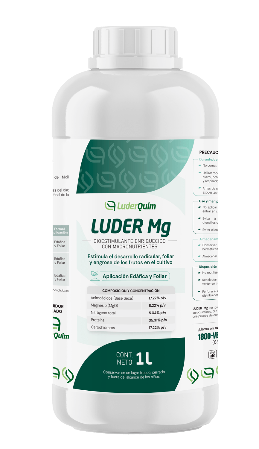 LUDER MG