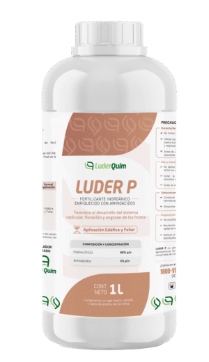 LUDER P