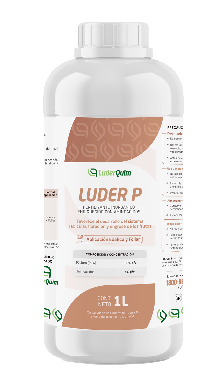 LUDER P