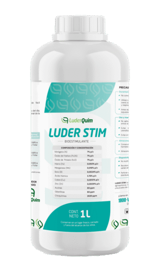 LUDER STIM