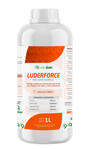 LUDER FORCE