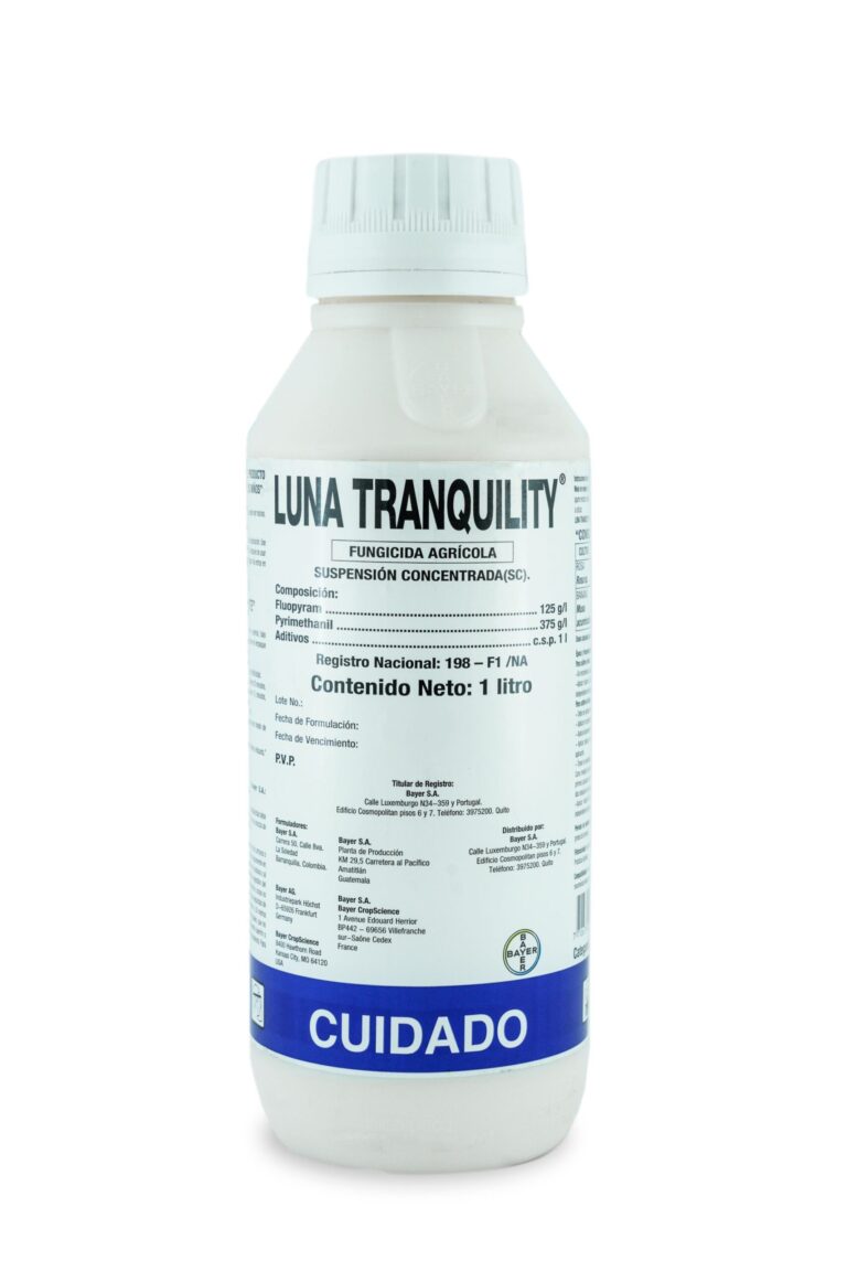 LUNA TRAQUILITY