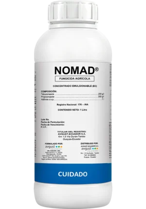NOMAD