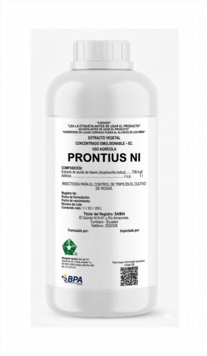 PRONTIUS NI