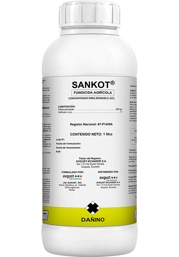 Avgust Sankot