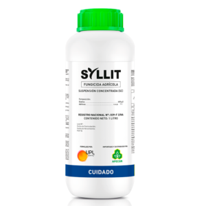 SYLLIT