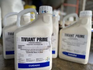TIVIANT PRIME
