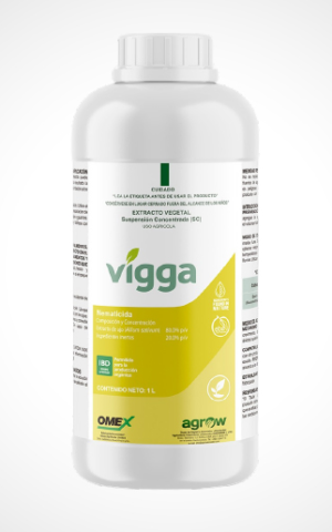 VIGGA