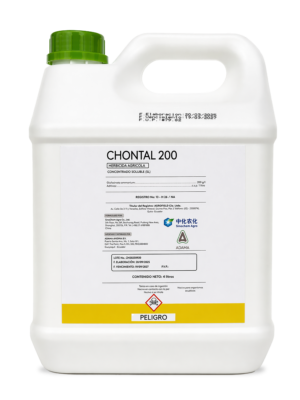 CHONTAL
