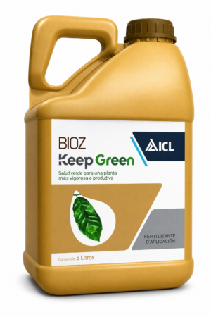 KELPGREEN